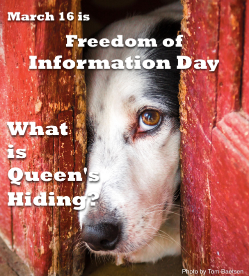 QAD - FOI Day heading