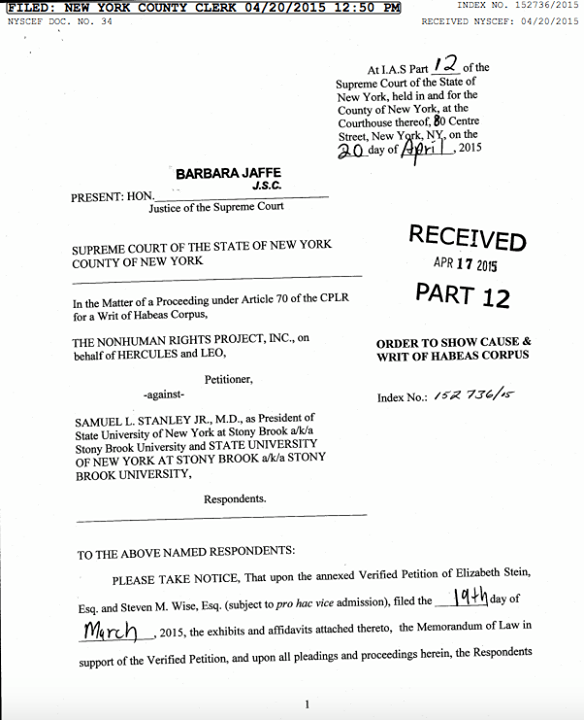 Image taken from Nonhuman Rights Project's Facebook page.