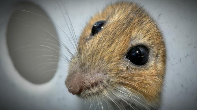 © Armin Rodler/Flickr (CC BY-NC 2.0)