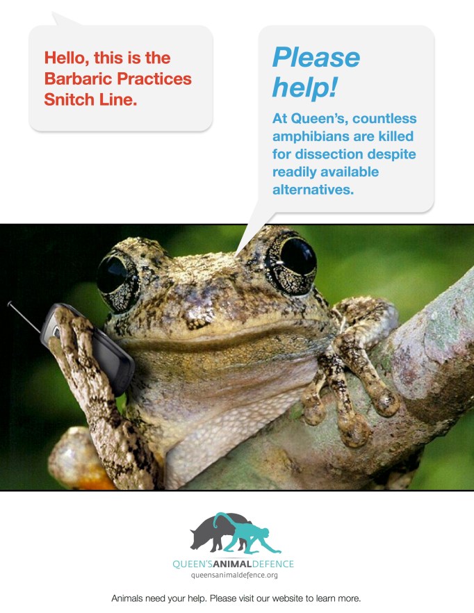 barbaric-practices-snitch-line-amphibians2