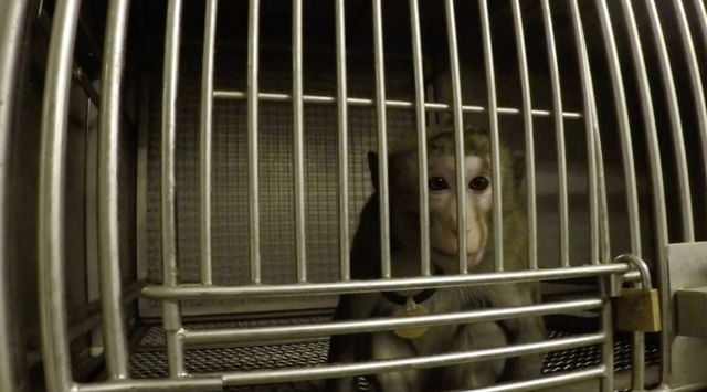 ITR Labs Montreal - screenshot